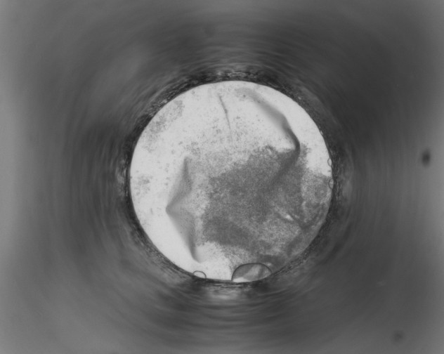 X0000116140661201001041033