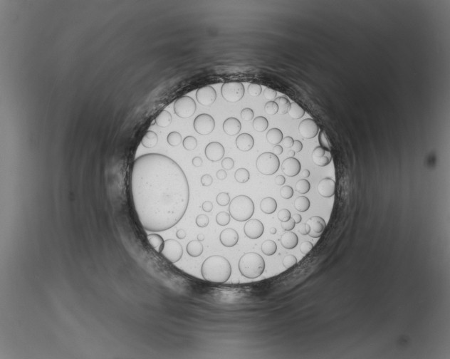 X0000116140662201001041033