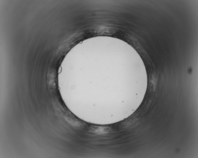 X0000116140663201001041033