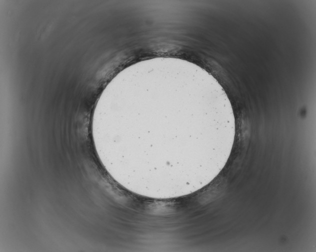 X0000116140664201001041033