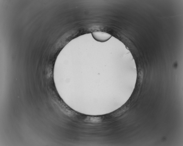 X0000116140665201001041033