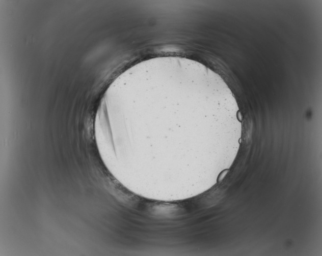 X0000116140669201001041033