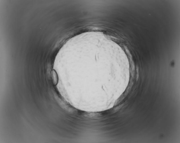 X0000116140670201001041033