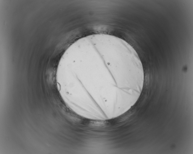 X0000116140671201001041033