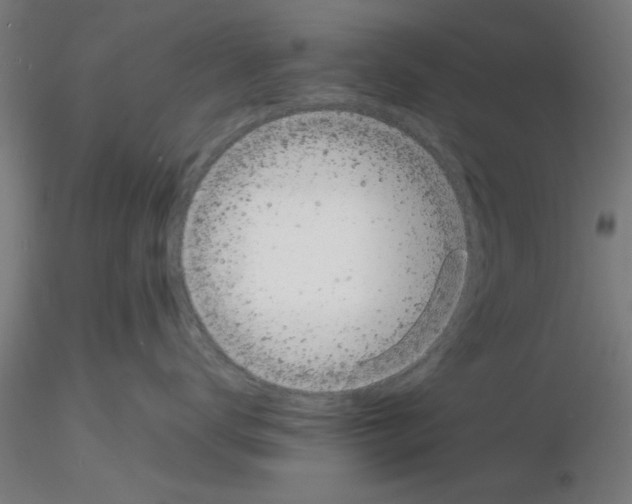 X0000116140672201001041033