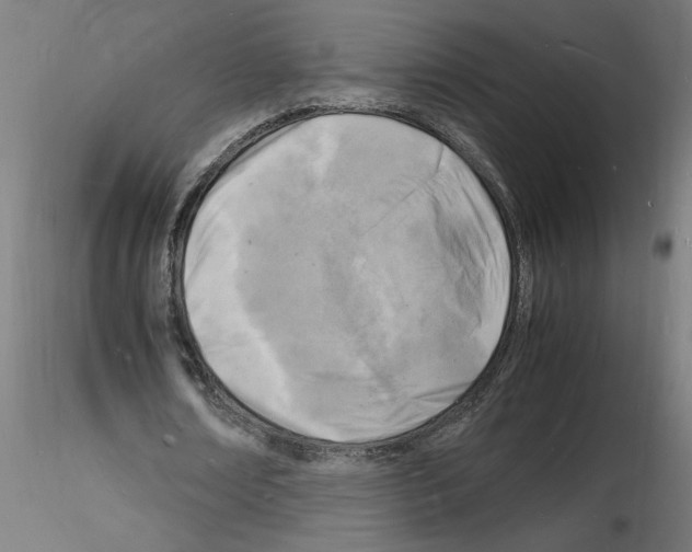 X0000116140674201001041033