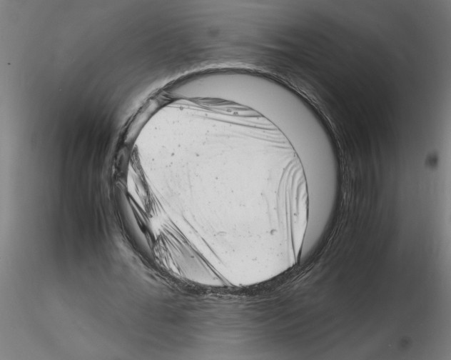 X0000116140676201001041033