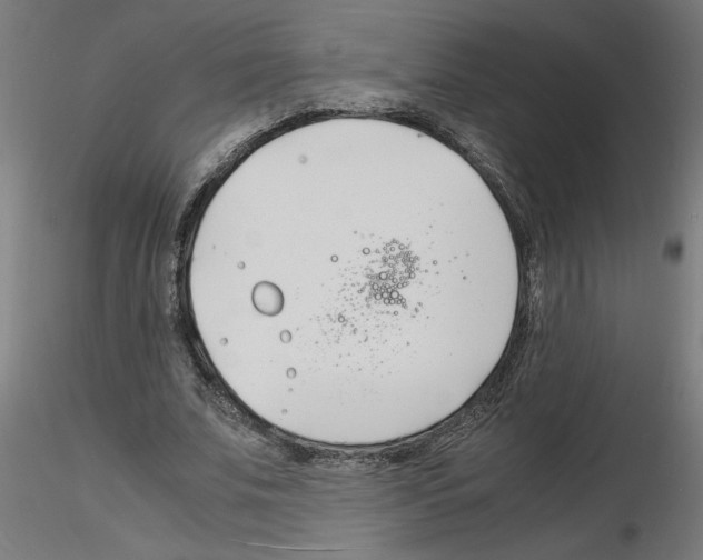 X0000116140679201001041033