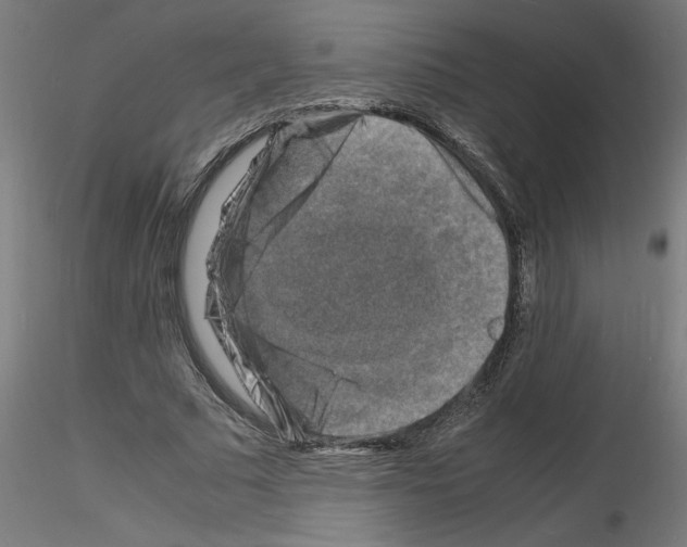 X0000116140681201001041033