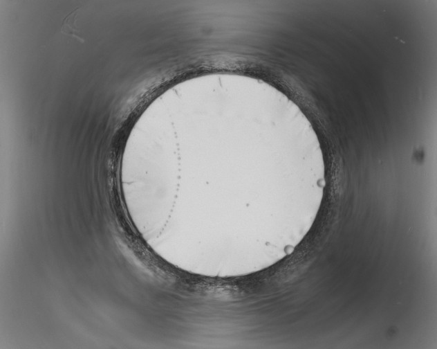 X0000116140683201001041033