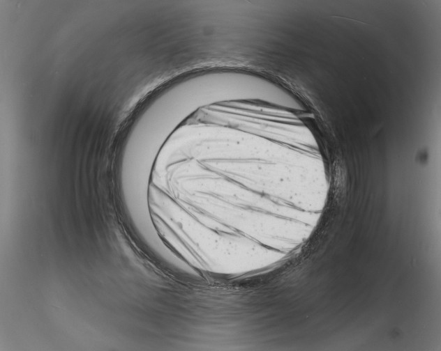 X0000116140684201001041033