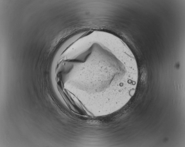 X0000116140685201001041033