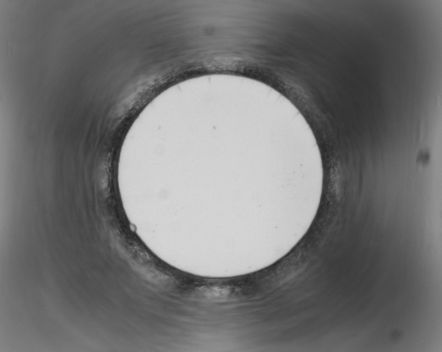 X0000116140687201001041033