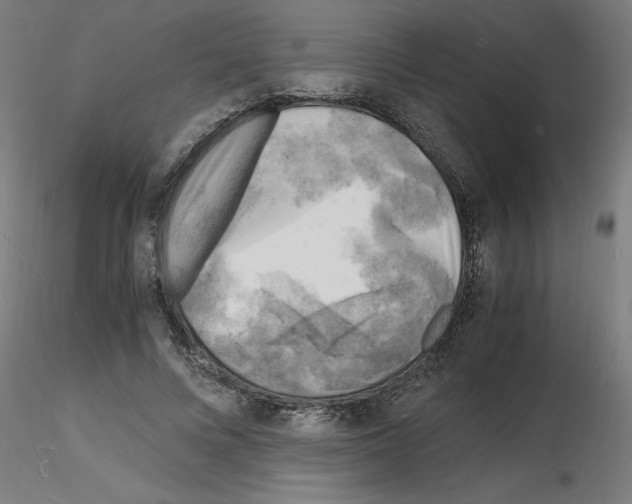 X0000116140688201001041033