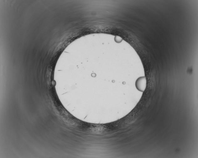 X0000116140695201001041033