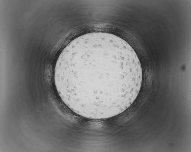 X0000116140698201001041033