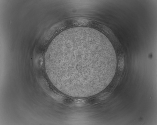 X0000116140701201001041032