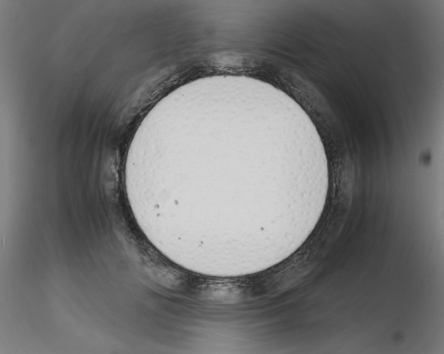 X0000116140702201001041032