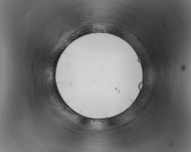 X0000116140706201001041032