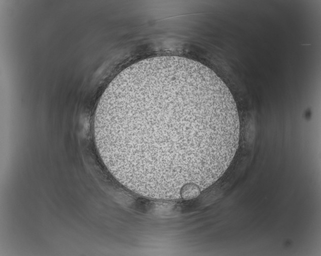 X0000116140709201001041032