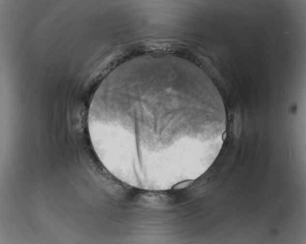 X0000116140712201001041032