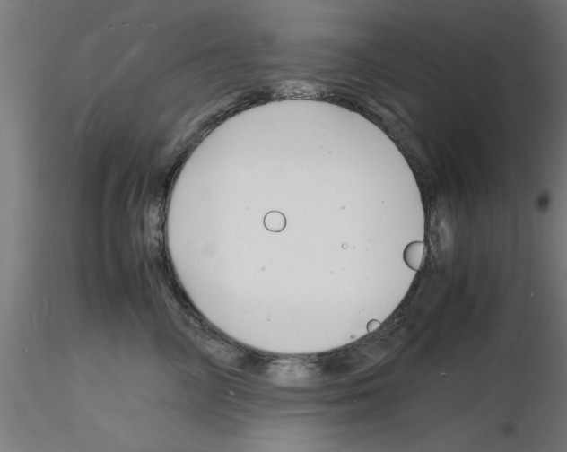 X0000116140714201001041032