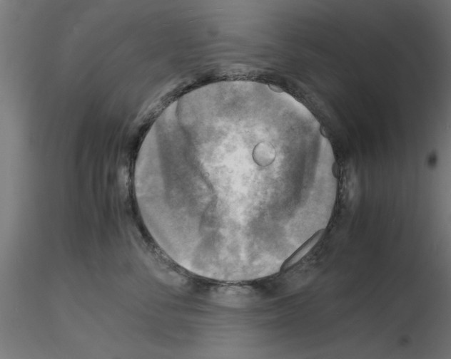 X0000116140716201001041032