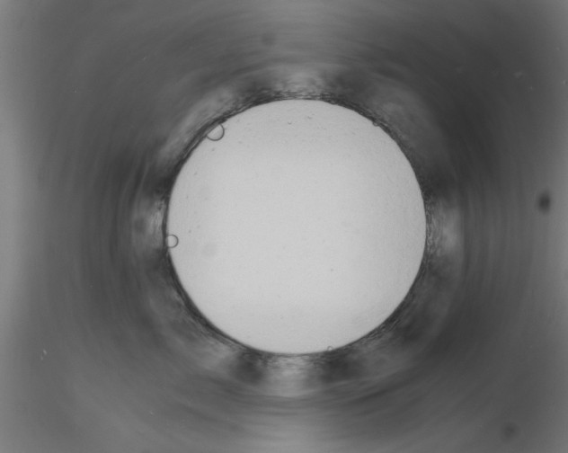 X0000116140717201001041032