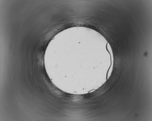 X0000116140719201001041032