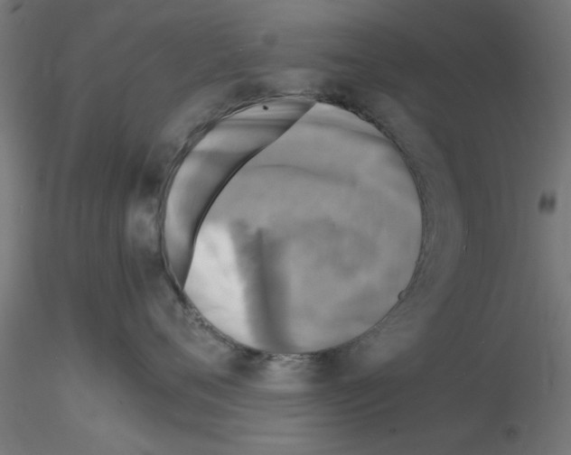 X0000116140720201001041032