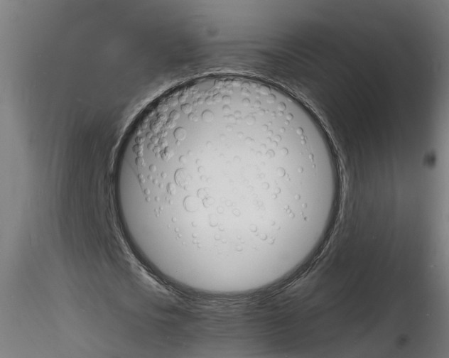 X0000116140721201001041032