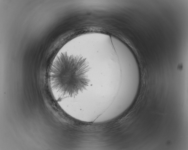 X0000116140722201001041032