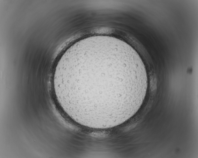 X0000116140725201001041032