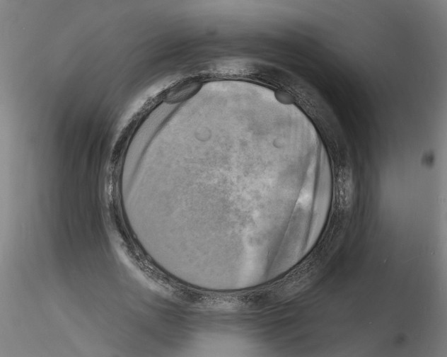 X0000116140726201001041032