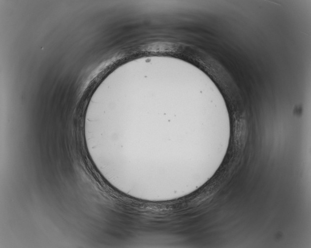 X0000116140727201001041032