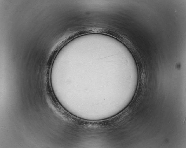 X0000116140730201001041032