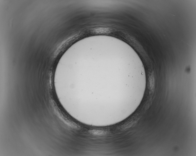 X0000116140733201001041032