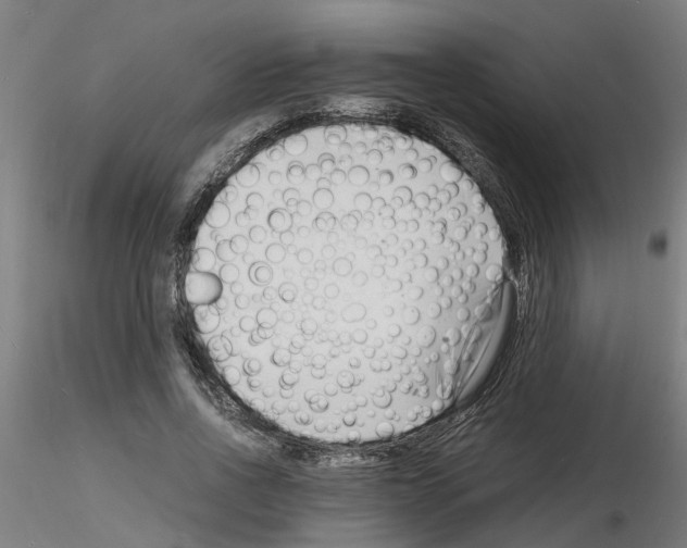 X0000116140734201001041032