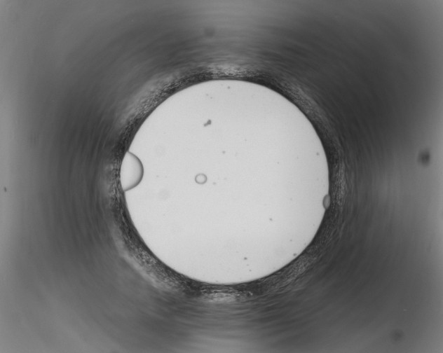 X0000116140738201001041032