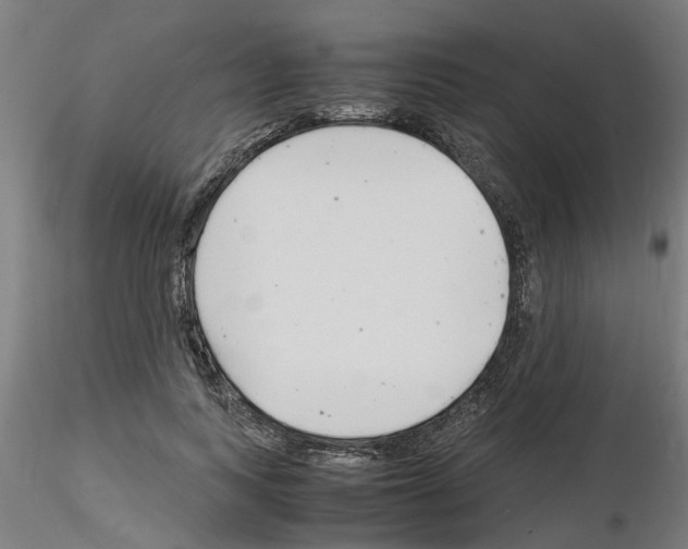 X0000116140743201001041032