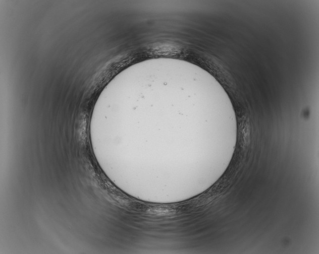 X0000116140745201001041032