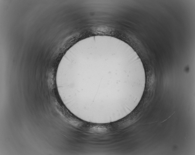 X0000116140749201001041032