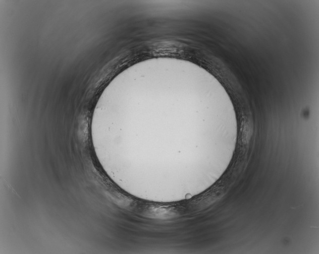 X0000116140753201001041032