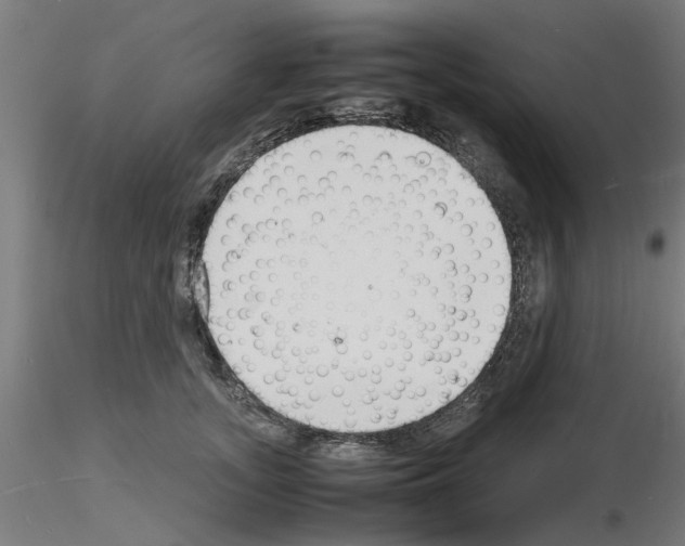 X0000116140755201001041032