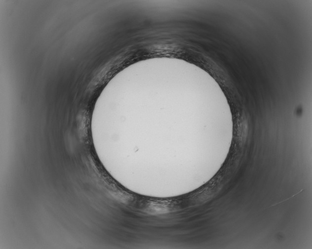 X0000116140757201001041032