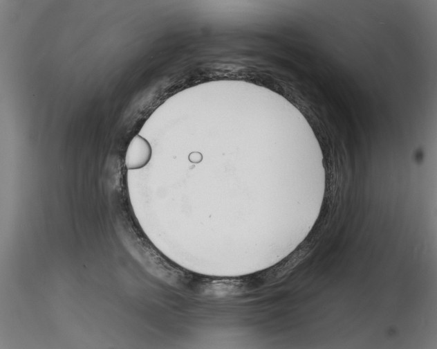 X0000116140758201001041032