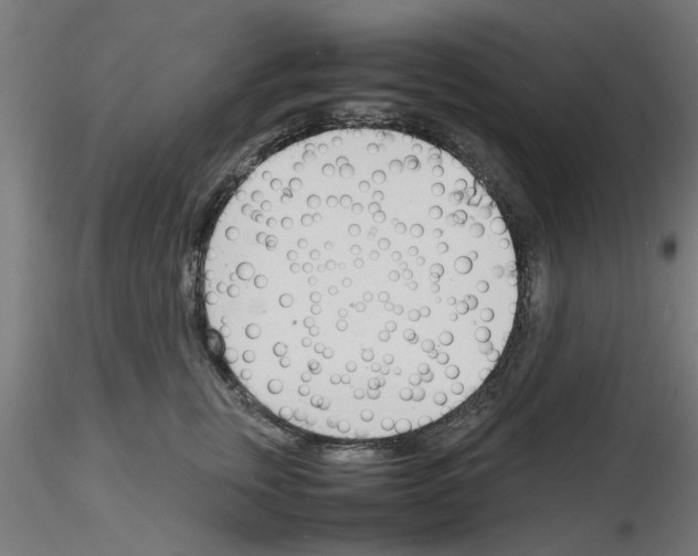 X0000116140759201001041032