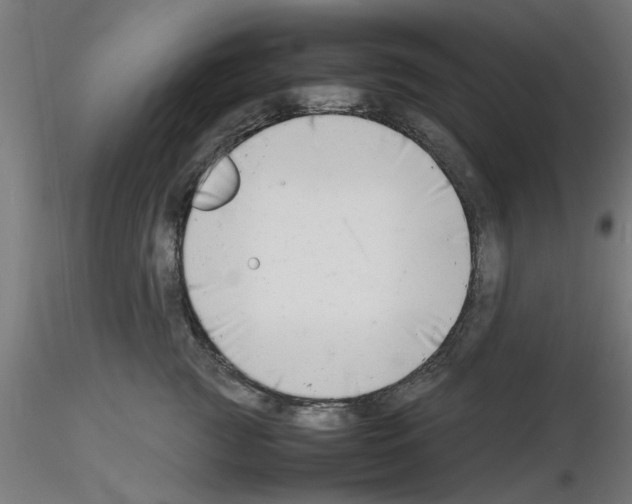 X0000116140761201001041032