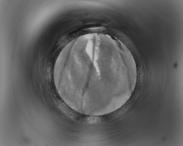 X0000116140762201001041032