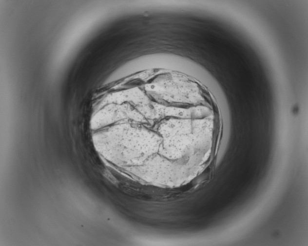 X0000116140766201001041032